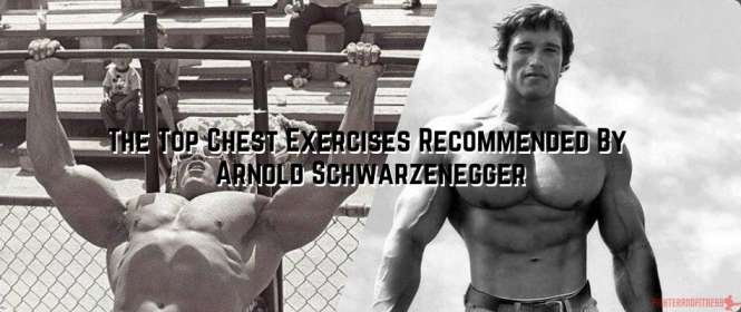 Top Chest Exercises Recommended By Arnold